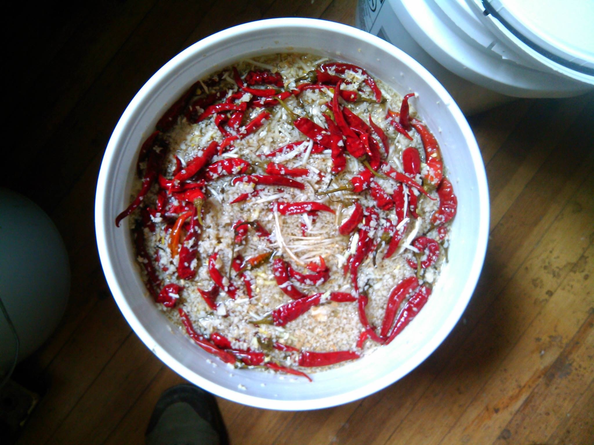 a photo of fire cider from above, showing shreds of white and red bits in liquid